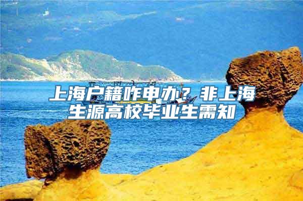 上海户籍咋申办？非上海生源高校毕业生需知