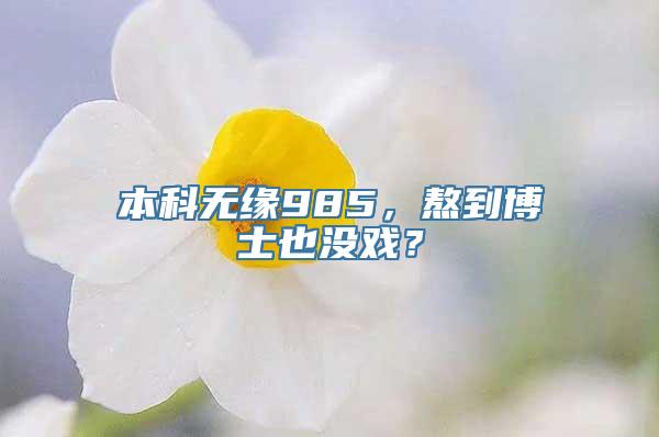 本科无缘985，熬到博士也没戏？