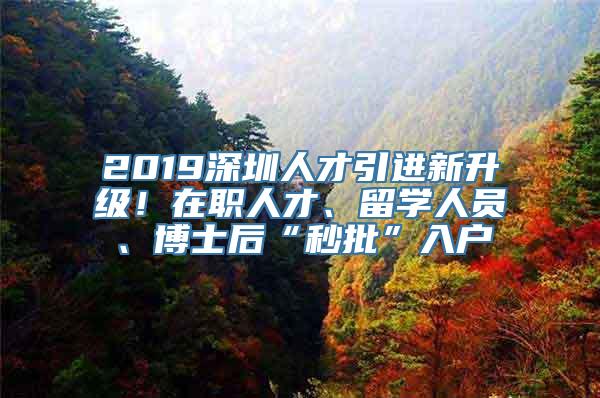 2019深圳人才引进新升级！在职人才、留学人员、博士后“秒批”入户