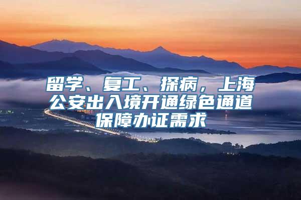 留学、复工、探病，上海公安出入境开通绿色通道保障办证需求