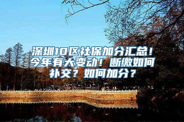 深圳10区社保加分汇总！今年有大变动！断缴如何补交？如何加分？