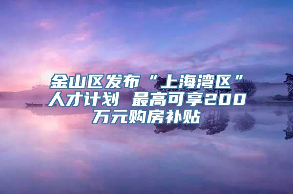 金山区发布“上海湾区”人才计划 最高可享200万元购房补贴