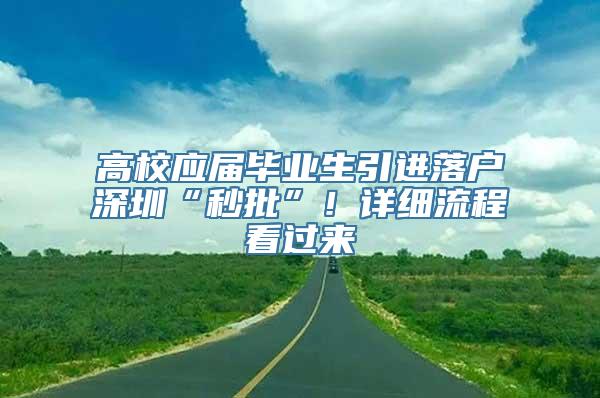 高校应届毕业生引进落户深圳“秒批”！详细流程看过来