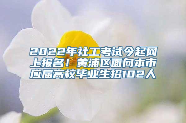 2022年社工考试今起网上报名！黄浦区面向本市应届高校毕业生招102人