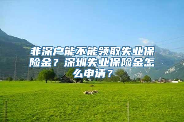 非深户能不能领取失业保险金？深圳失业保险金怎么申请？