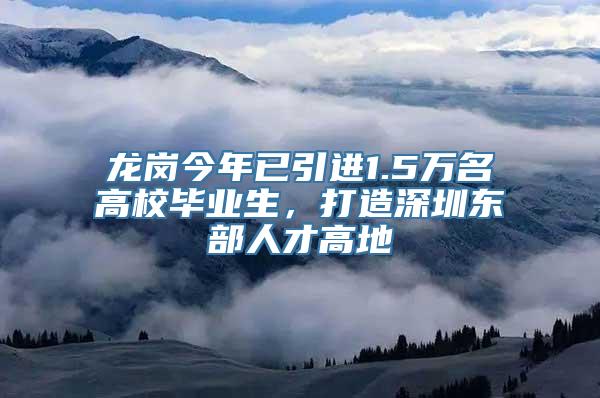 龙岗今年已引进1.5万名高校毕业生，打造深圳东部人才高地