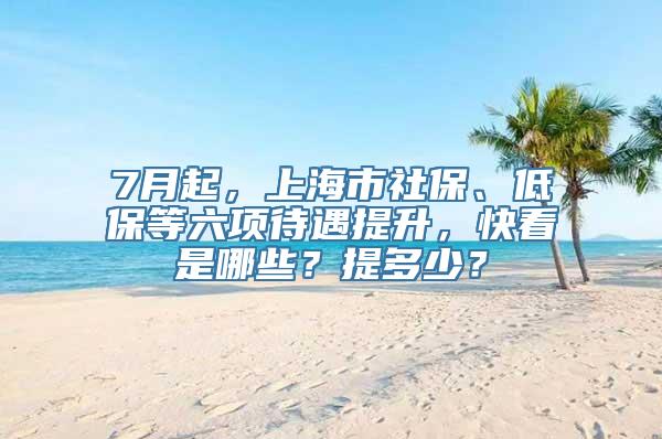 7月起，上海市社保、低保等六项待遇提升，快看是哪些？提多少？