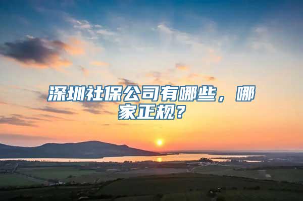 深圳社保公司有哪些，哪家正规？