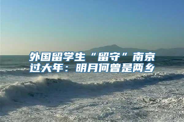 外国留学生“留守”南京过大年：明月何曾是两乡