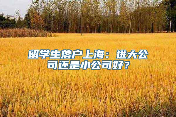 留学生落户上海：进大公司还是小公司好？