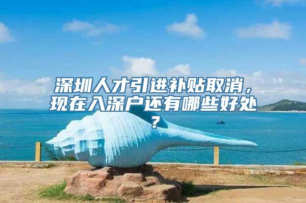 深圳人才引进补贴取消，现在入深户还有哪些好处？