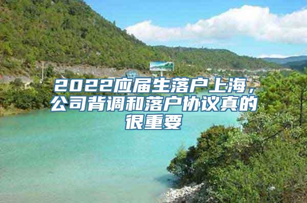 2022应届生落户上海，公司背调和落户协议真的很重要