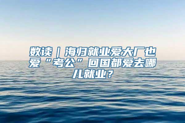 数读｜海归就业爱大厂也爱“考公”回国都爱去哪儿就业？