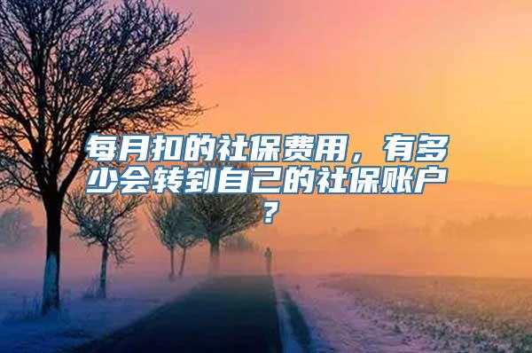 每月扣的社保费用，有多少会转到自己的社保账户？