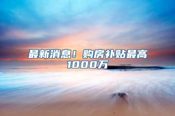 最新消息！购房补贴最高1000万