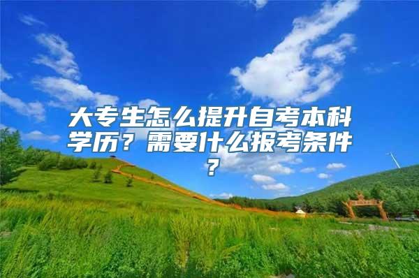 大专生怎么提升自考本科学历？需要什么报考条件？