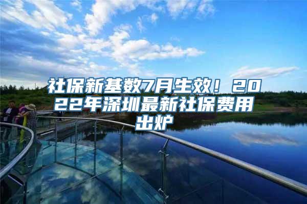 社保新基数7月生效！2022年深圳最新社保费用出炉