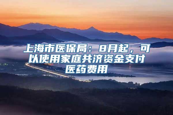 上海市医保局：8月起，可以使用家庭共济资金支付医药费用