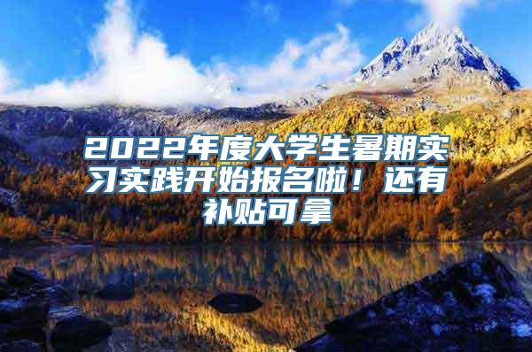 2022年度大学生暑期实习实践开始报名啦！还有补贴可拿→