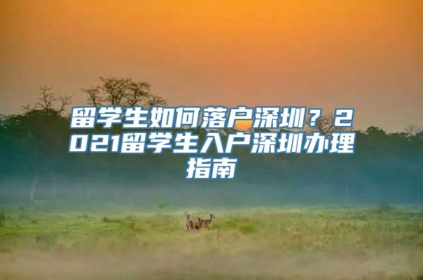 留学生如何落户深圳？2021留学生入户深圳办理指南