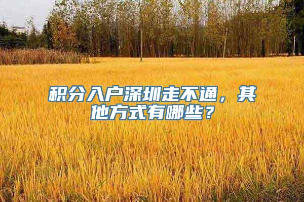 积分入户深圳走不通，其他方式有哪些？