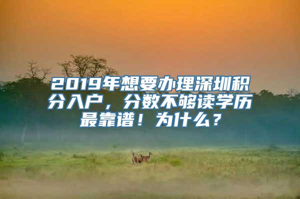 2019年想要办理深圳积分入户，分数不够读学历最靠谱！为什么？