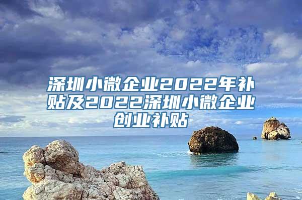 深圳小微企业2022年补贴及2022深圳小微企业创业补贴