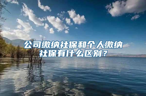 公司缴纳社保和个人缴纳社保有什么区别？