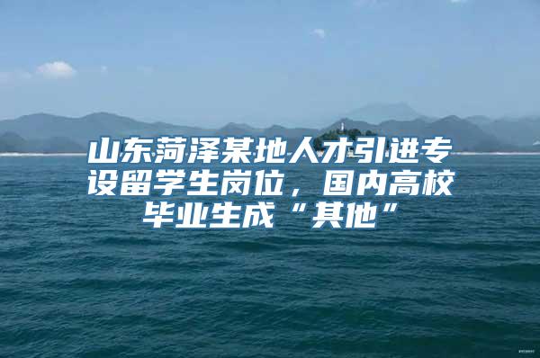 山东菏泽某地人才引进专设留学生岗位，国内高校毕业生成“其他”