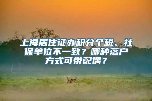 上海居住证办积分个税、社保单位不一致？哪种落户方式可带配偶？