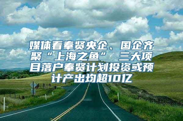 媒体看奉贤央企、国企齐聚“上海之鱼” 三大项目落户奉贤计划投资或预计产出均超10亿