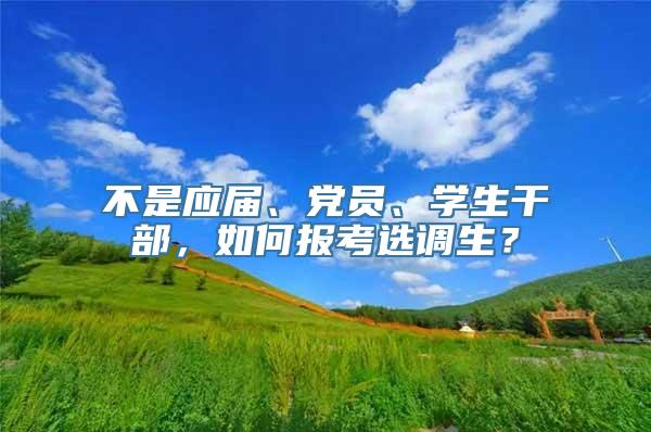 不是应届、党员、学生干部，如何报考选调生？