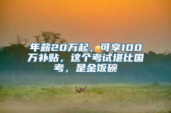 年薪20万起，可享100万补贴，这个考试堪比国考，是金饭碗