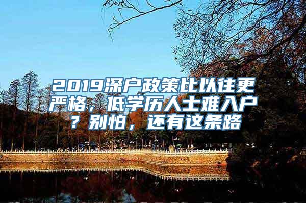 2019深户政策比以往更严格，低学历人士难入户？别怕，还有这条路