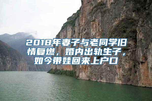 2018年妻子与老同学旧情复燃，婚内出轨生子，如今带娃回来上户口