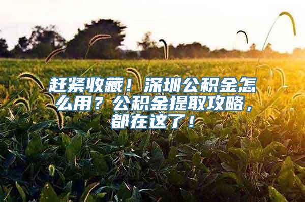 赶紧收藏！深圳公积金怎么用？公积金提取攻略，都在这了！