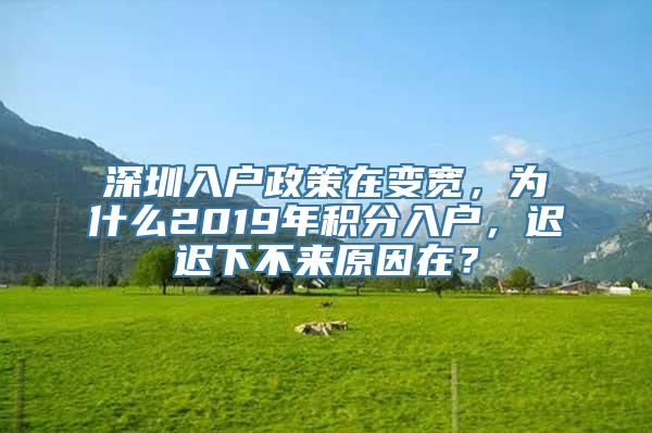 深圳入户政策在变宽，为什么2019年积分入户，迟迟下不来原因在？