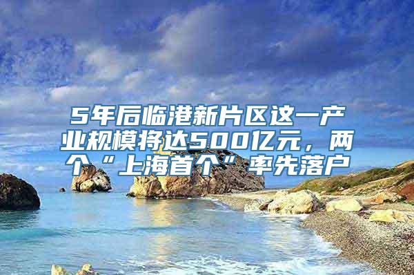 5年后临港新片区这一产业规模将达500亿元，两个“上海首个”率先落户