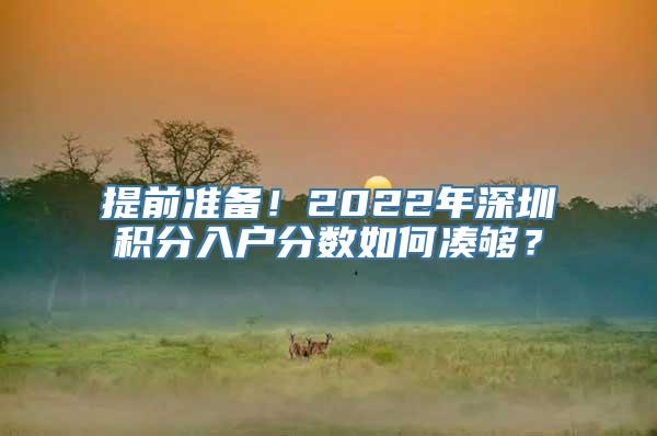 提前准备！2022年深圳积分入户分数如何凑够？