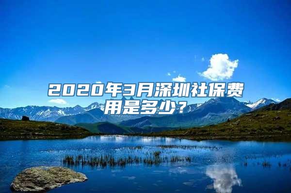 2020年3月深圳社保费用是多少？