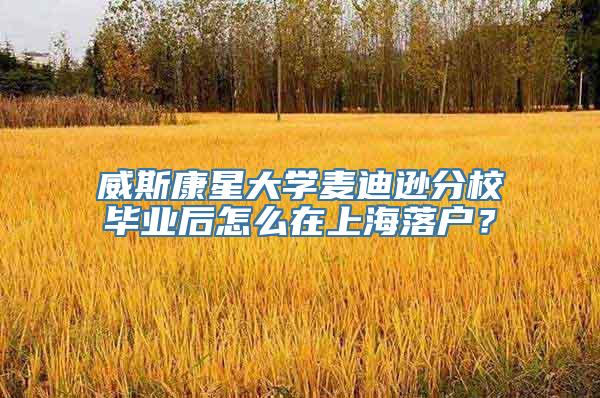 威斯康星大学麦迪逊分校毕业后怎么在上海落户？