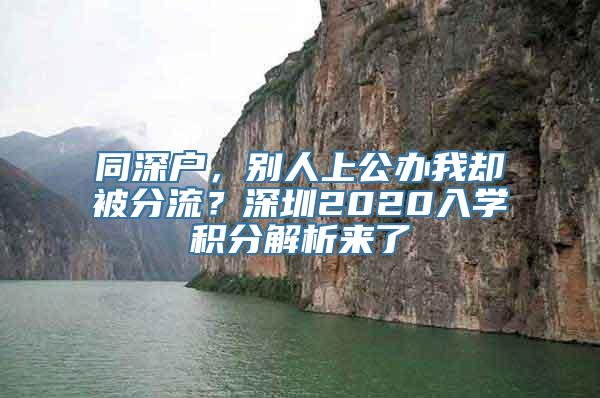 同深户，别人上公办我却被分流？深圳2020入学积分解析来了