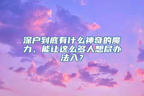 深户到底有什么神奇的魔力，能让这么多人想尽办法入？