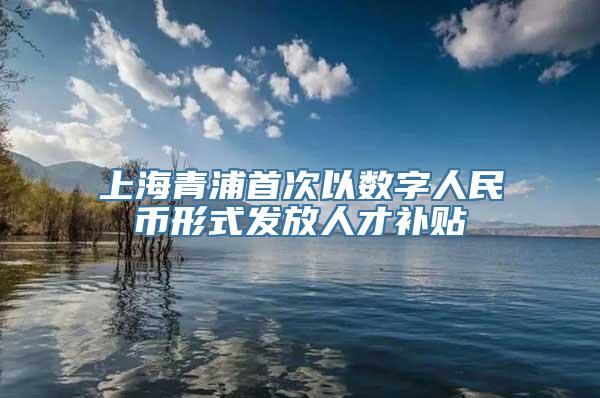 上海青浦首次以数字人民币形式发放人才补贴