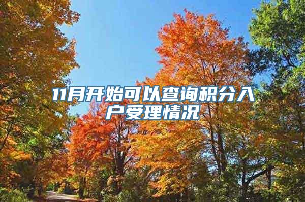 11月开始可以查询积分入户受理情况