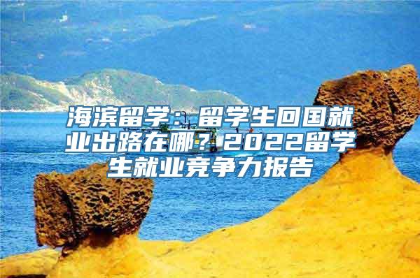 海滨留学：留学生回国就业出路在哪？2022留学生就业竞争力报告