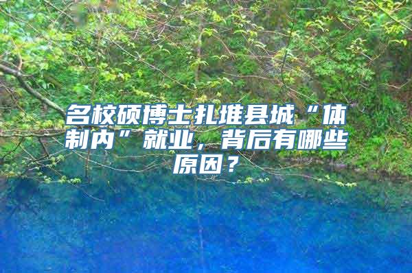 名校硕博士扎堆县城“体制内”就业，背后有哪些原因？