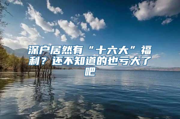 深户居然有“十六大”福利？还不知道的也亏大了吧