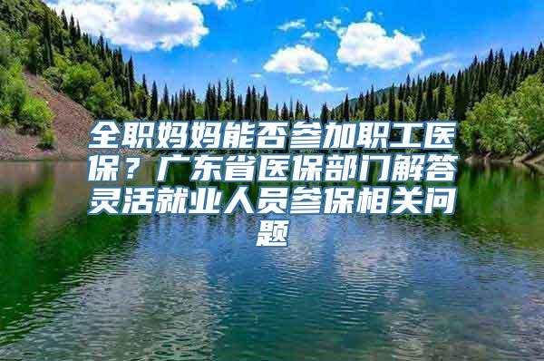 全职妈妈能否参加职工医保？广东省医保部门解答灵活就业人员参保相关问题