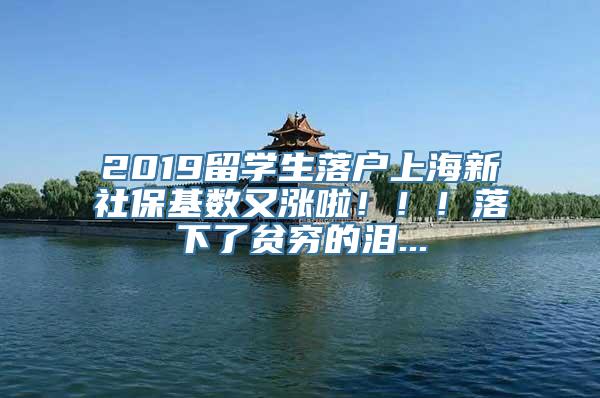 2019留学生落户上海新社保基数又涨啦！！！落下了贫穷的泪...